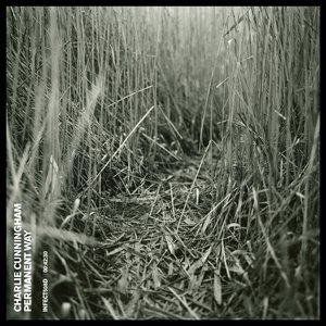 日韩国产欧美精品综合二区
