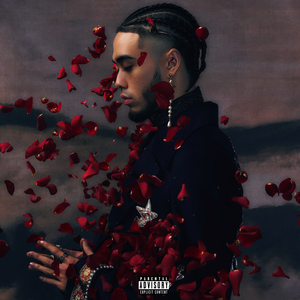 白白的屁股黑黑的毛 下面两个大樱桃
