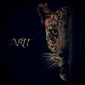 玩两个奶水丰满人妻
