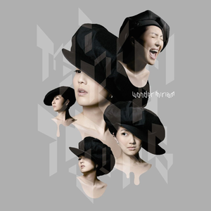 只让玩菊门的女领导小说
