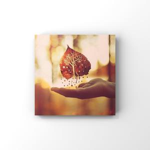 大众浴池2023最新款
