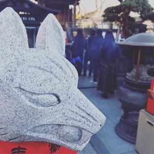 白白的屁股黑黑的毛 下面两个大樱桃
