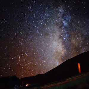 Gay男性玩奴sm调教
