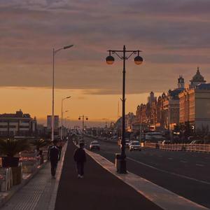 丁香成人免费视频
