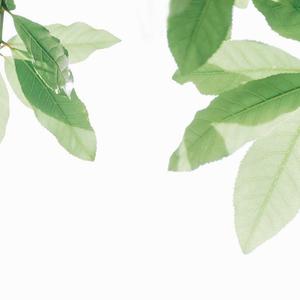 变种老变态 - 七猫精品
