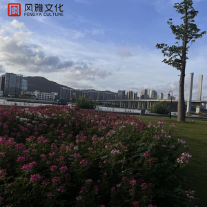 果林里和公第1部分阅读答案
