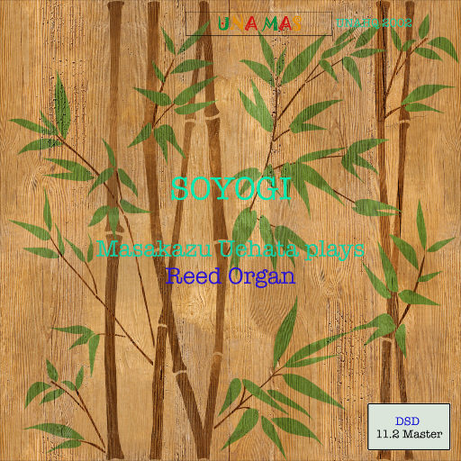 日本巨大波霸乳裸交孕妇
